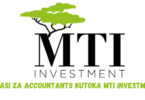 Accountant and financial analyst Jobs at MTI Investment