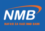 Revenue Assurance Analyst Jobs at NMB Bank