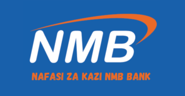 Revenue Assurance Analyst Jobs at NMB Bank