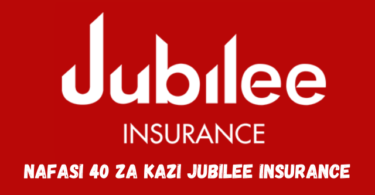 Sales Force Executive Jobs at Jubilee Insurance