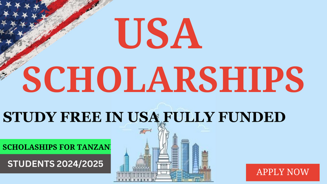 Are there scholarships for Tanzanian students? - gmedia