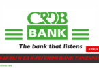 Career Opportunities at CRDB Bank in Tanzania