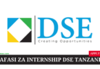 Intern Opportunities at DSE 