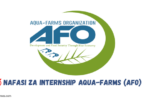 Internship Opportunities at Aqua-Farms Organization (AFO)