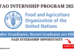 Internship Opportunities at FAO