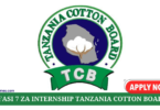 Internship Opportunities at Tanzania Invest