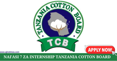 Internship Opportunities at Tanzania Invest