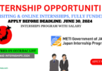 METI Government of Japan Internship Program 2024