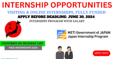 METI Government of Japan Internship Program 2024