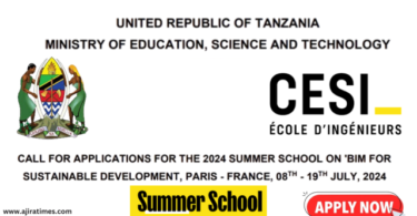 Paris-France Summer School for Tanzanians 2024