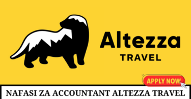 Altezza Travel Accountant Vacancies