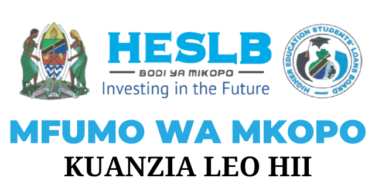 Apply for Online HESLB Loan Application 2024 Now!