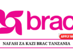 BRAC Career Vacancies Tanzania
