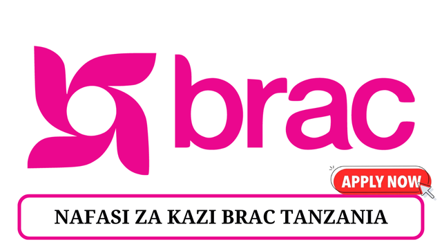BRAC Career Vacancies Tanzania