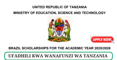 Brazil Scholarship for Tanzanian Students 2025-2026