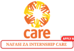 CARE Finance Intern Tanzania