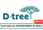 D-tree Internship Vacancies Tanzania
