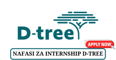 D-tree Internship Vacancies Tanzania