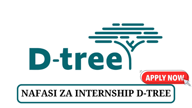 D-tree Internship Vacancies Tanzania
