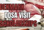 Denmark DDSA Visit Grant Scholarships 2024 
