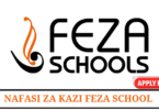 Feza School Vacancies Opportunities Tanzania