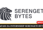 Internship Opportunities at Serengeti Byte