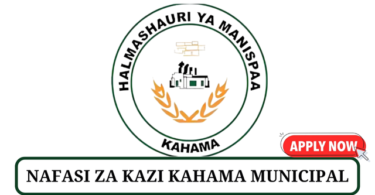 Kahama Municipal Council Vacancies Tanzania