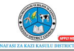 Kasulu District Council Vacancies Tanzania