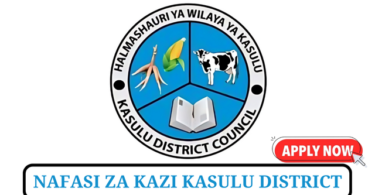 Kasulu District Council Vacancies Tanzania