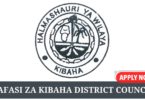 Kibaha District Council Vacancies Tanzania