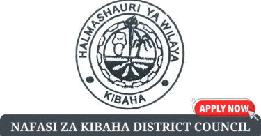 Kibaha District Council Vacancies Tanzania