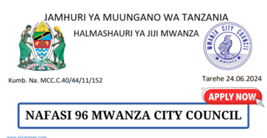 Mwanza City Council Vacancies Tanzania