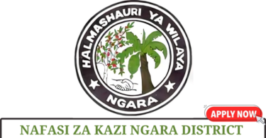 Ngara District Council Vacancies Tanzania