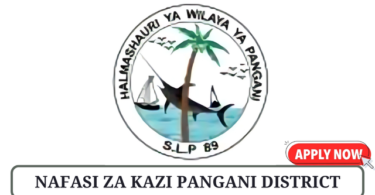 Pangani District Council Vacancies Tanzania