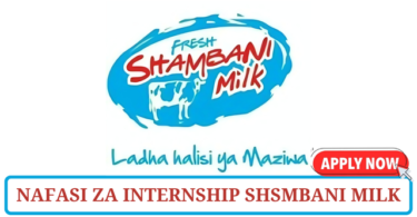 Shambani Milk internship Tanzania