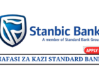 Standard Bank Career Vacancies Tanzania