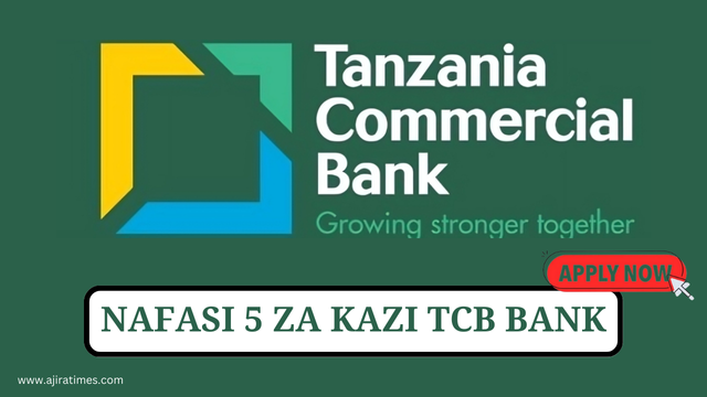 Tanzania Commercial Bank Vacancies