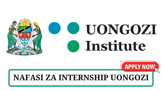 UONGOZI Institute Internship Tanzania