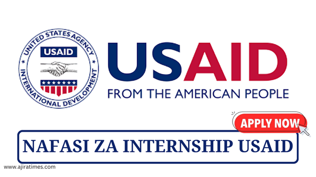 USAID Internship Tanzania
