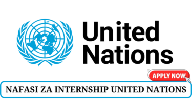 United Nations Internship Vacancies Tanzania