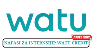 WATU Credit Customer Care Intern Tanzania