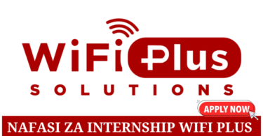 Wifi Plus Solutions internship opportunities