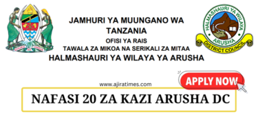 Arusha District Council Vacancies Tanzania