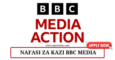 BBC Media Action Vacancies Tanzania