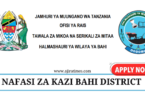 Bahi District Council Vacancies July 2024