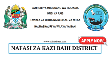 Bahi District Council Vacancies July 2024