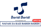 Baridi Baridi Vacancies Tanzania