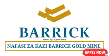 Barrick Gold Mine Vacancies July 2024