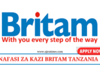 Britam Vacancies July 2024