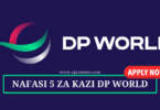 DP World Jobs Vacancies July 2024